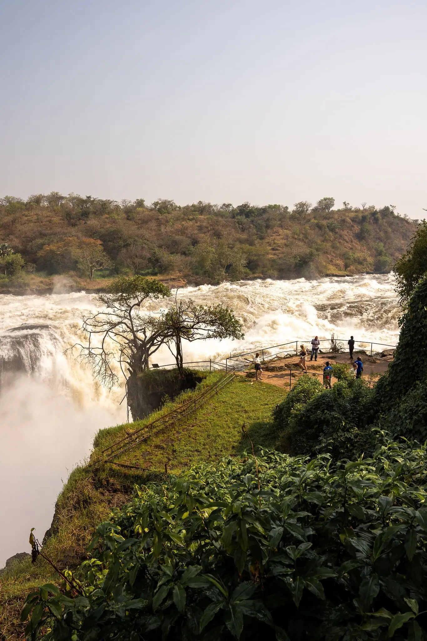 chutes murchison ouganda