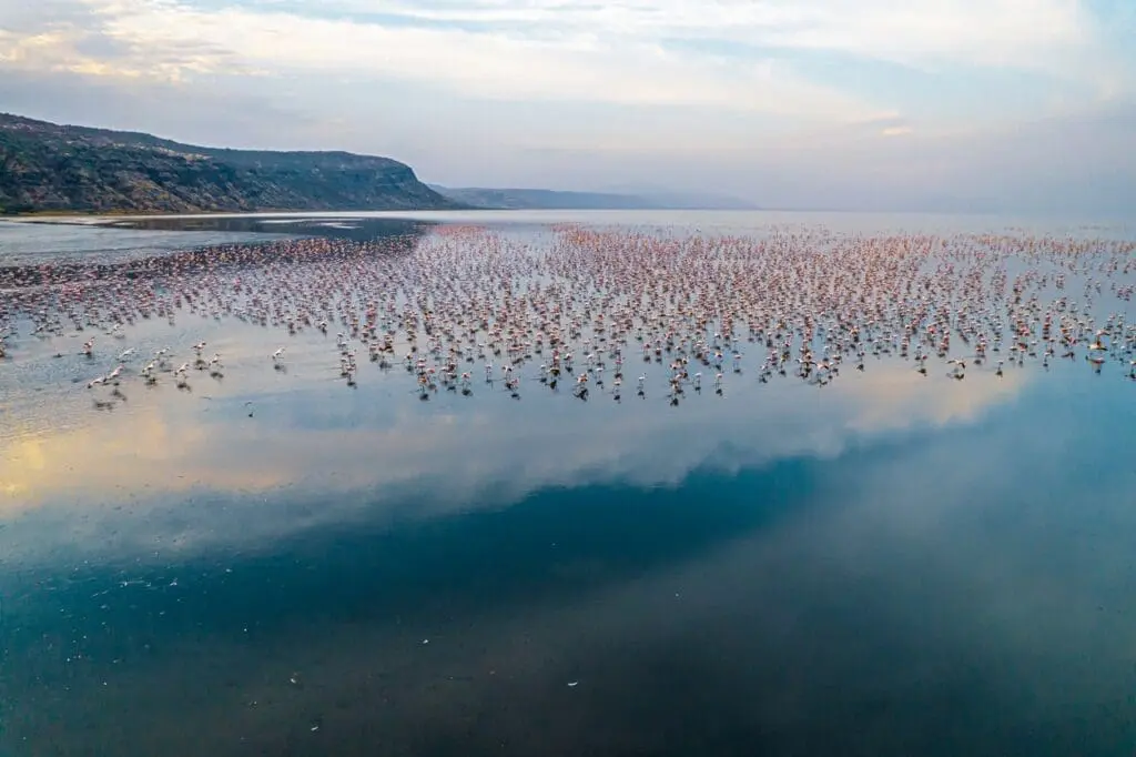 voyage en Tanzanie