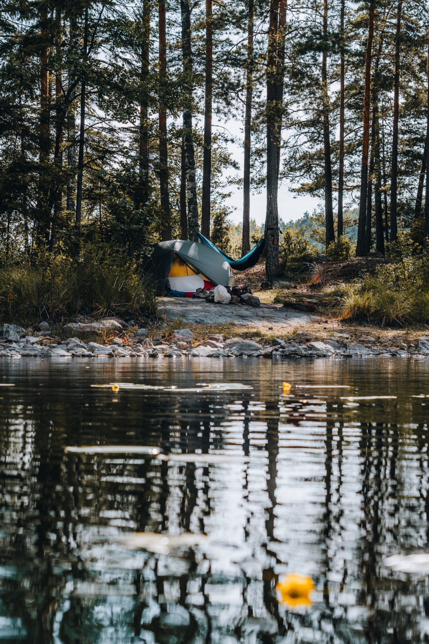 Wildlife in Zweden: tips voor de meest bijzondere ontmoetingen