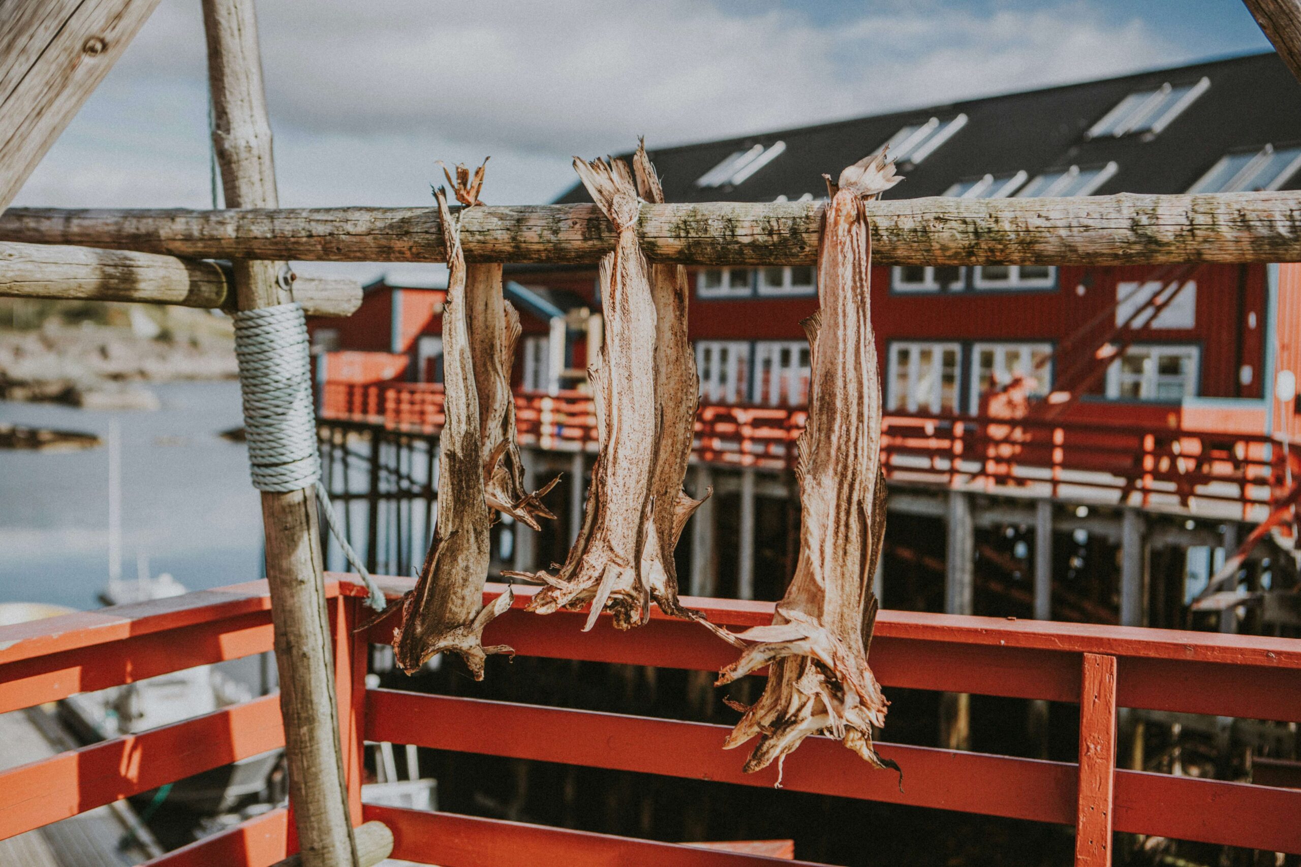 poisson seché norvège