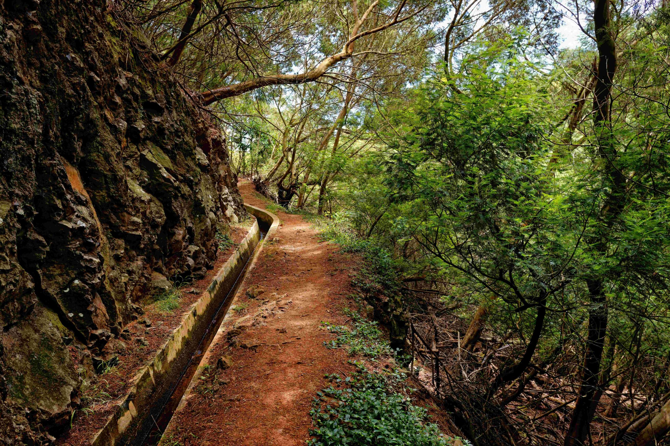 levada Madère Portugal