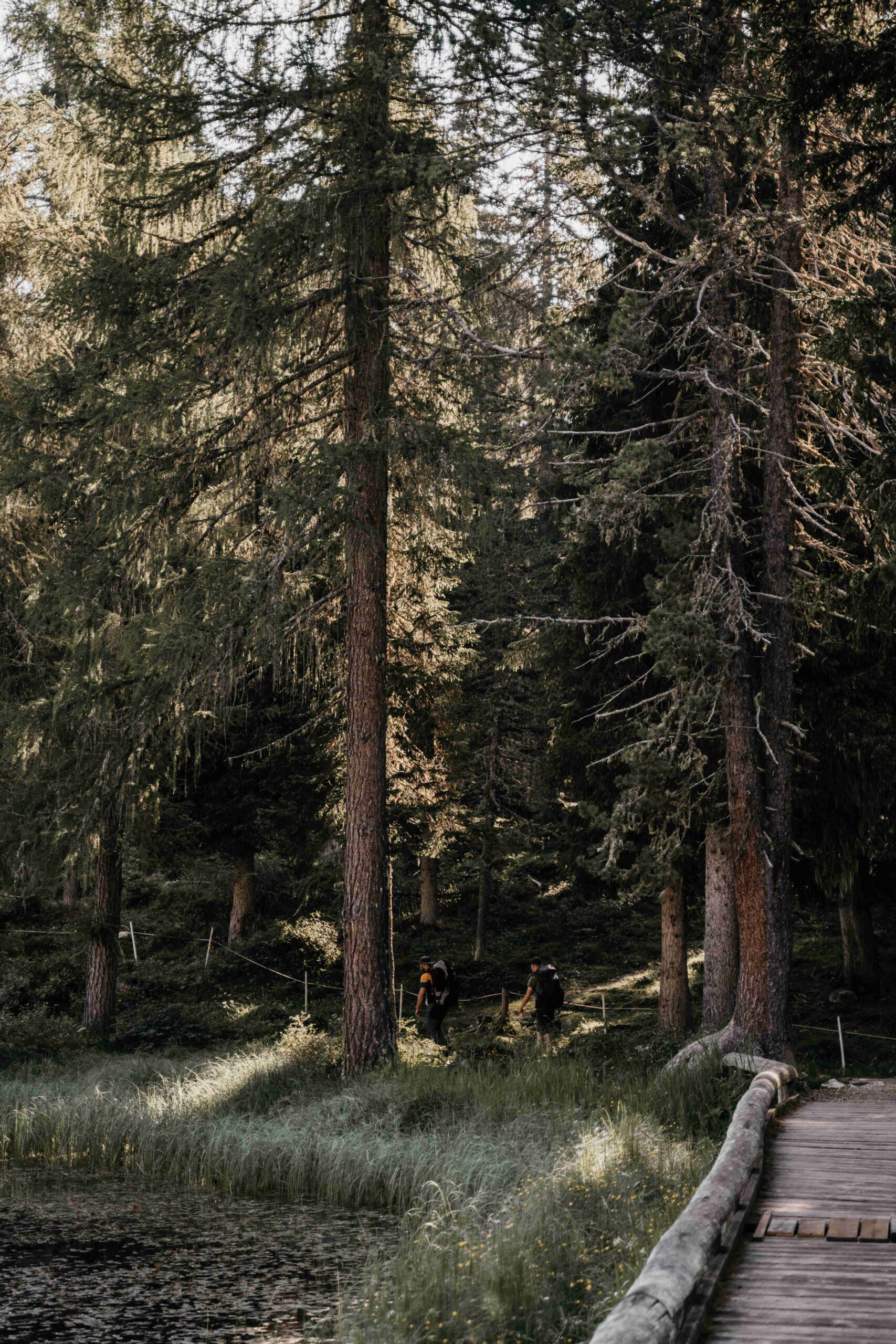 chemin de balade dolomites italie