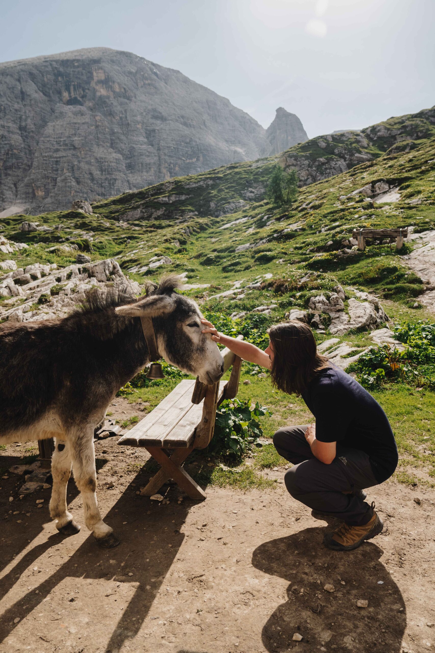 jeune femme qui caresse un âne dolomites italie