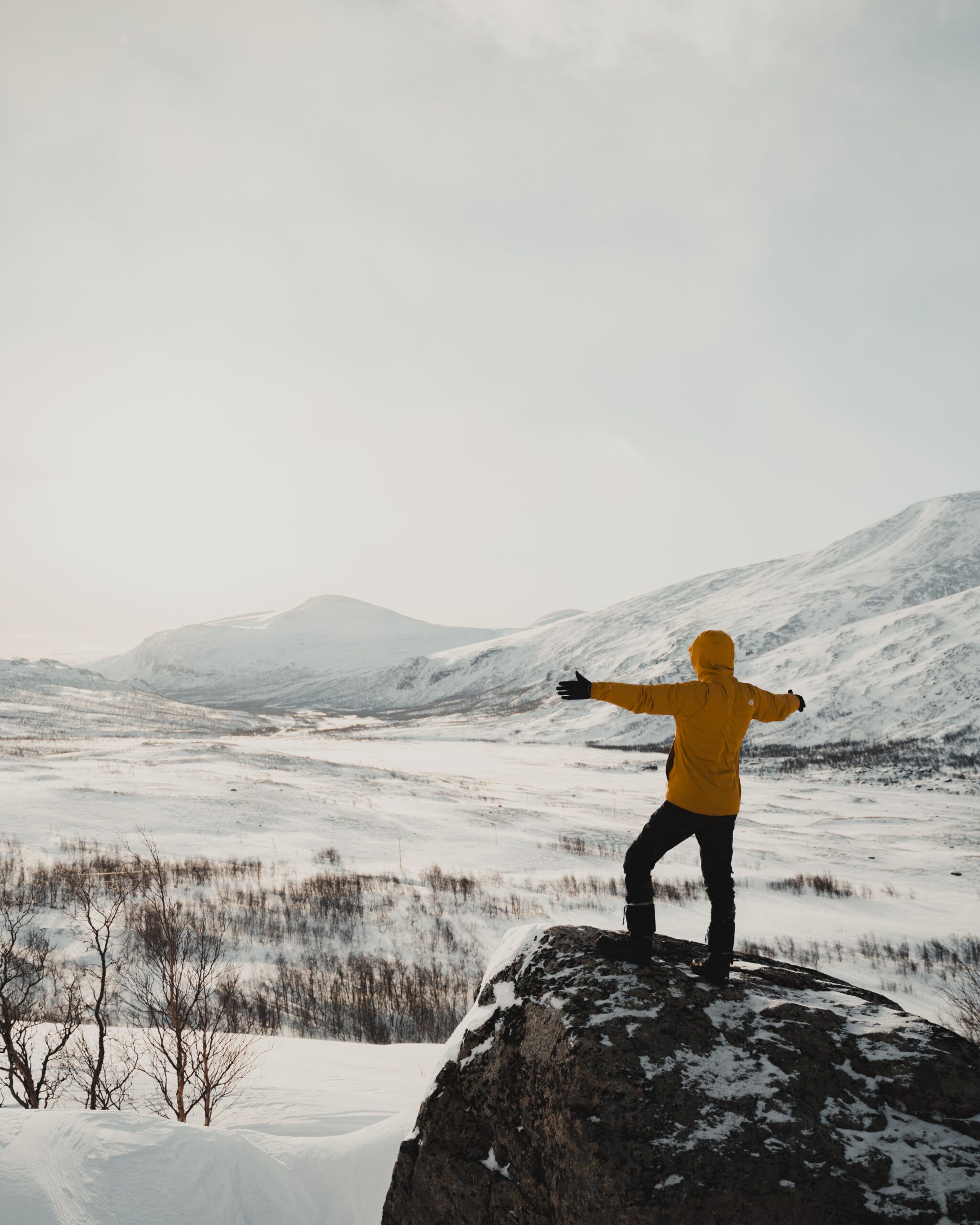 trek kungsleden laponie suède