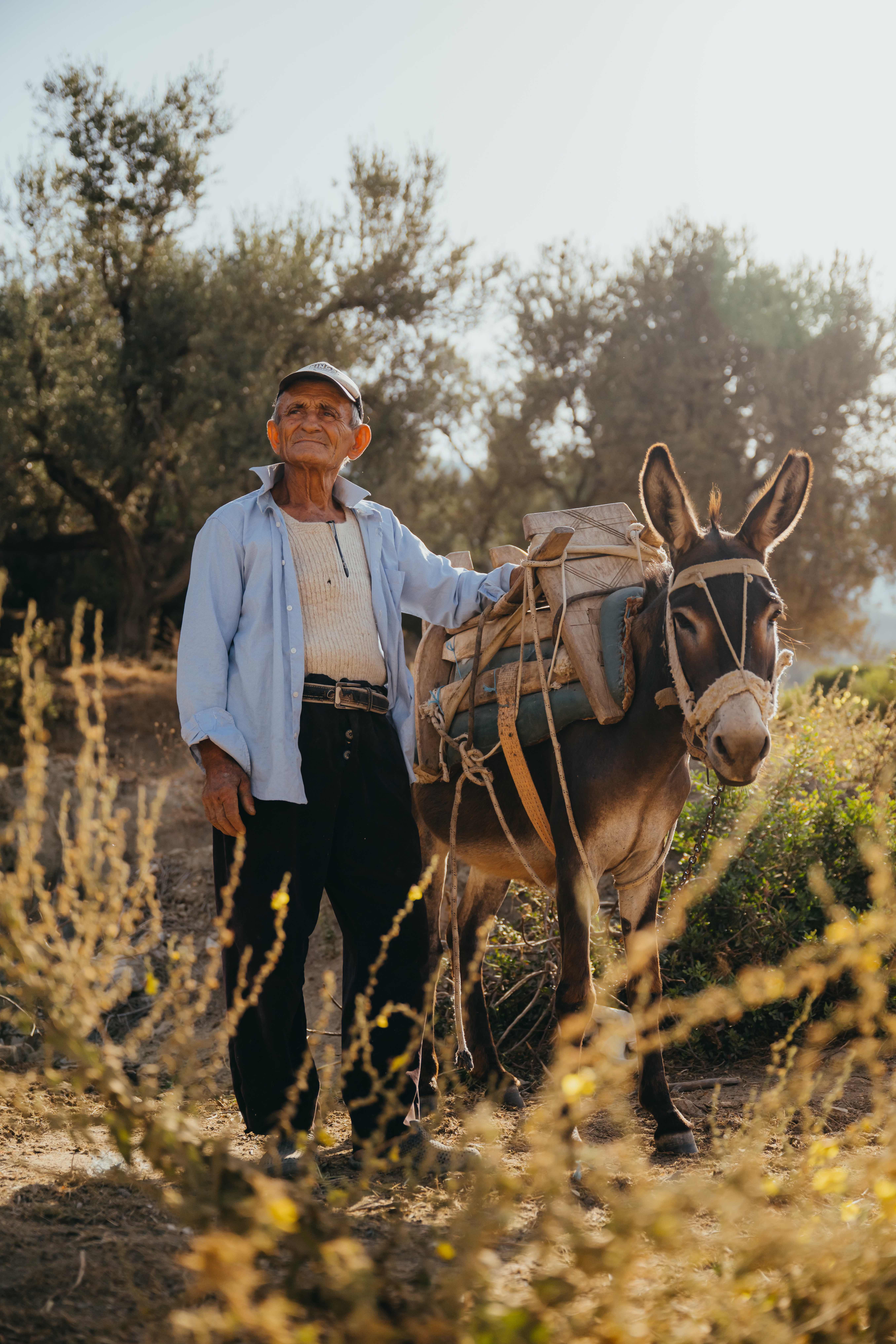 Albania Nomads - Local et âne