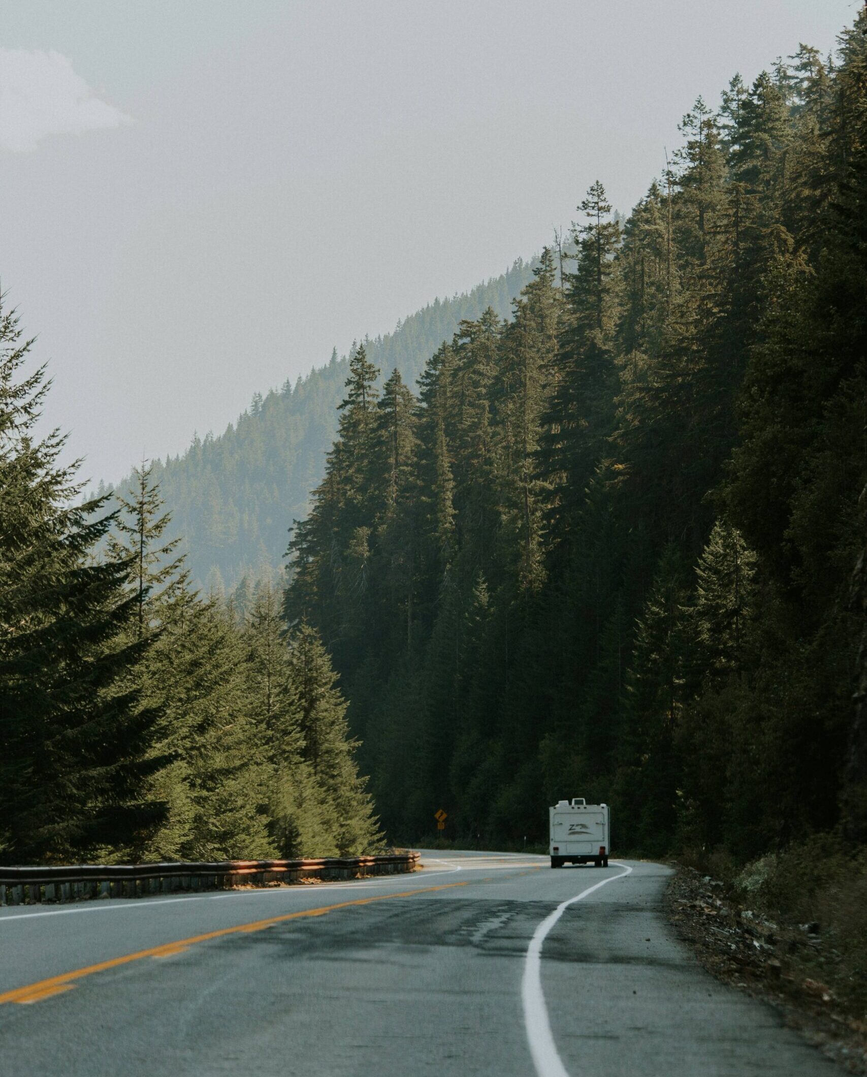 Route entourée arbre canada