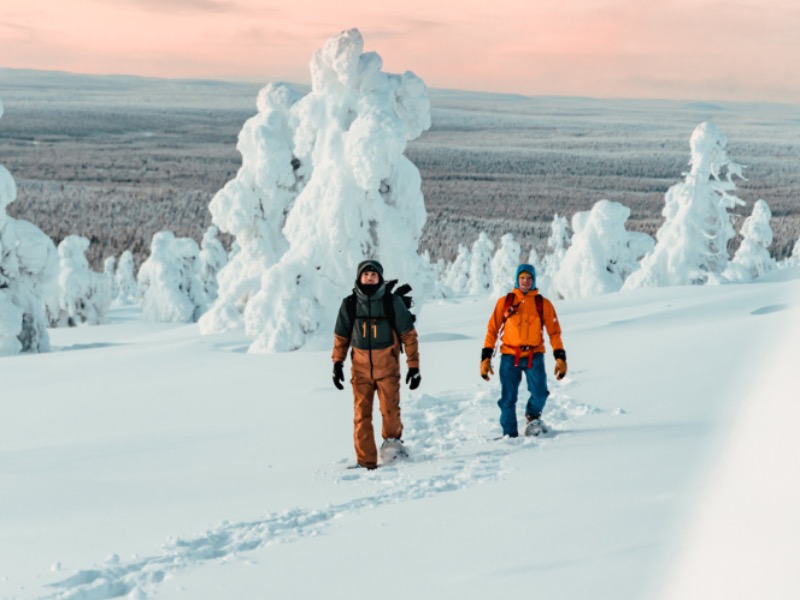 Image of The Lapland Trail